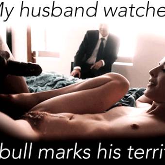 husband and bull